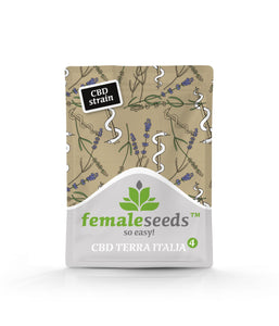 TERRA ITALIA CBD (FEMALE SEEDS) FEMINIZADA a la venta en Panteón Grow Shop. Semillas Feminizadas de la marca Female Seeds. Plantas de marihuana